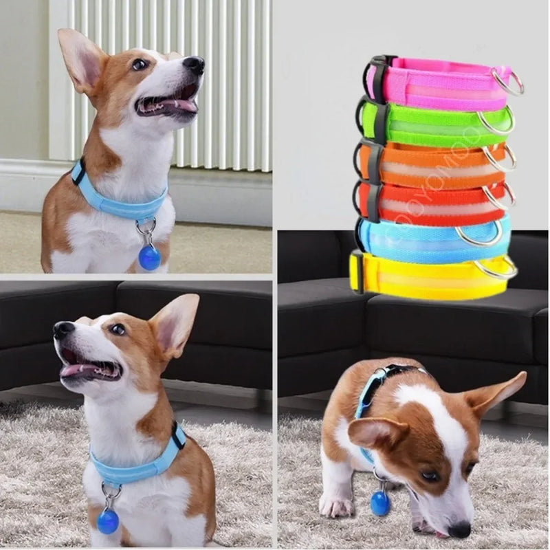 Dog LuminousCollar Anti-lost Glowing  LED Light Pet Collar Collar For Small Medium Large Dogs Collars Leads Safety Necklace