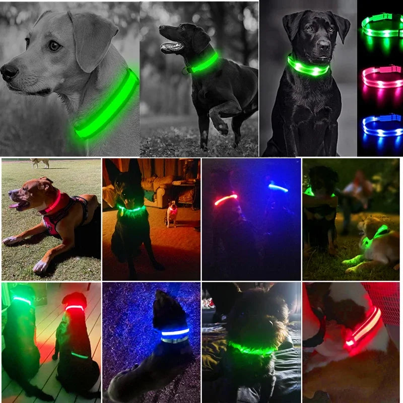 Dog LuminousCollar Anti-lost Glowing  LED Light Pet Collar Collar For Small Medium Large Dogs Collars Leads Safety Necklace